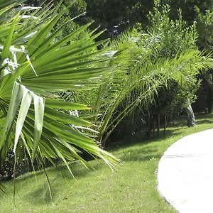 Appartement Dans St Raphael